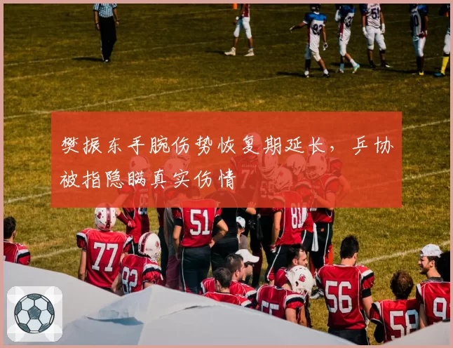 樊振东手腕伤势恢复期延长,乒协被指隐瞒真实伤情