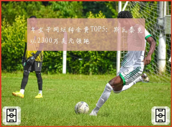 年女子网坛转会费TOP5：斯瓦泰克以2300万美元领跑