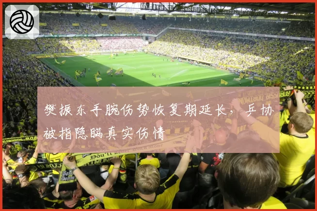 樊振东手腕伤势恢复期延长，乒协被指隐瞒真实伤情