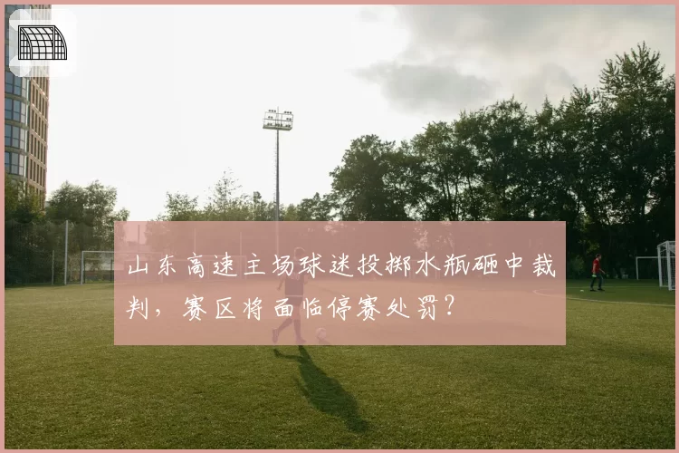 山东高速主场球迷投掷水瓶砸中裁判,赛区将面临停赛处罚?